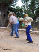 Mones representacin de las siegas en castilla aos 50